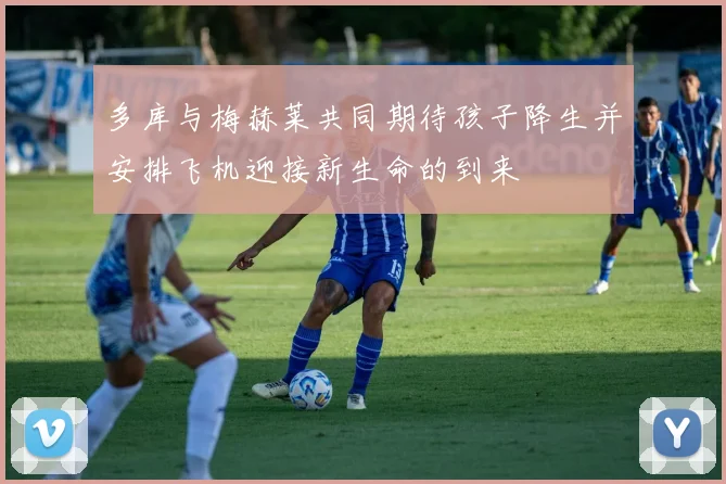 多库与梅赫莱共同期待孩子降生并安排飞机迎接新生命的到来
