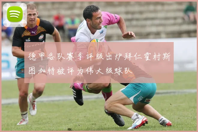 德甲各队赛季评级出炉拜仁霍村斯图加特被评为伟大级球队