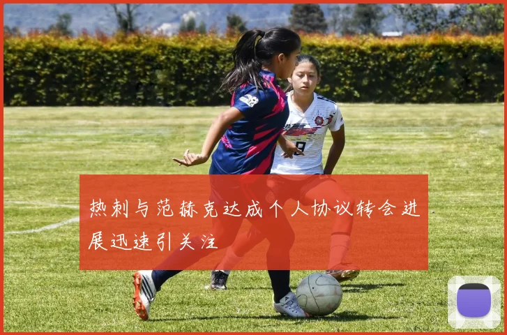 热刺与范赫克达成个人协议转会进展迅速引关注